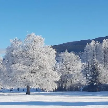 Residenz Monica 8 Apartment *