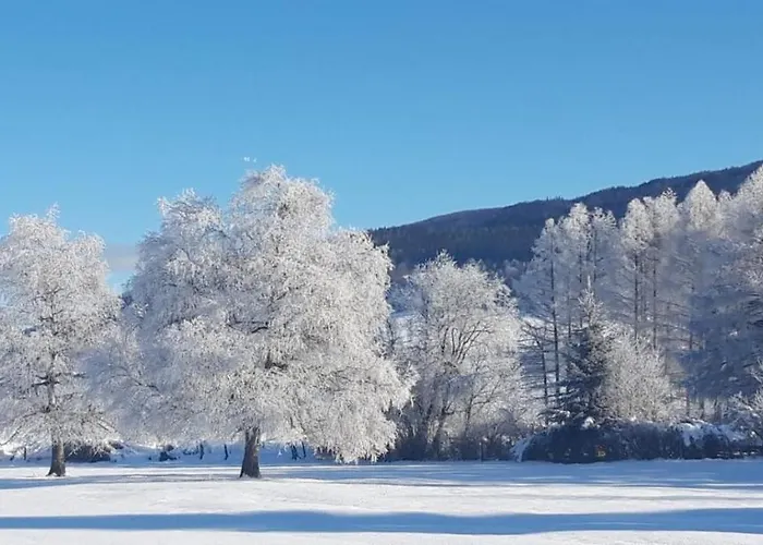 Residenz Monica 8 Apartman *